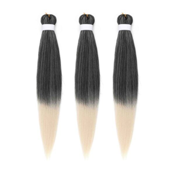 #FR-13 • Easy braids