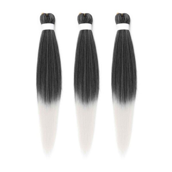 #FR-15 • Easy braids