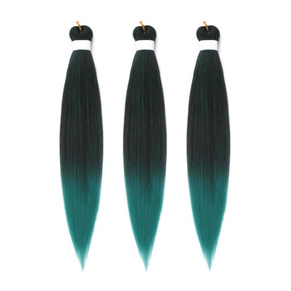 #FR-17 • Easy braids